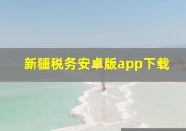 新疆税务安卓版app下载