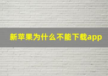 新苹果为什么不能下载app