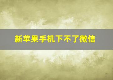 新苹果手机下不了微信