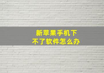 新苹果手机下不了软件怎么办