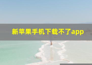 新苹果手机下载不了app