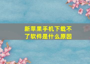 新苹果手机下载不了软件是什么原因