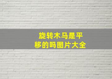 旋转木马是平移的吗图片大全