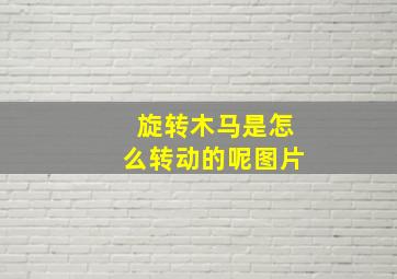 旋转木马是怎么转动的呢图片