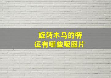 旋转木马的特征有哪些呢图片