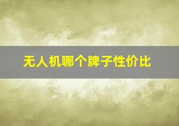 无人机哪个牌子性价比