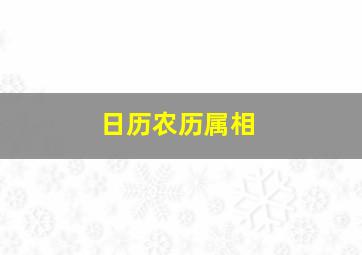 日历农历属相