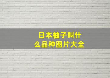 日本柚子叫什么品种图片大全