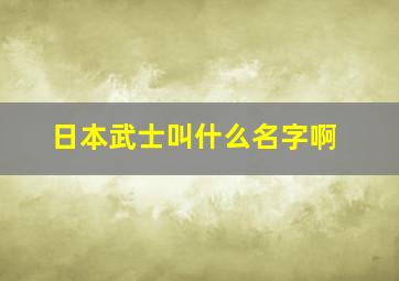 日本武士叫什么名字啊