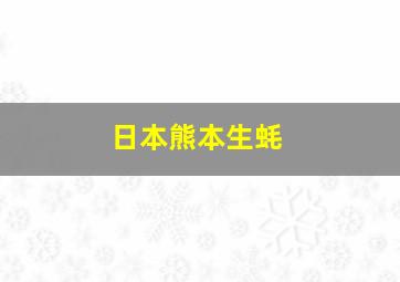 日本熊本生蚝