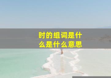 时的组词是什么是什么意思