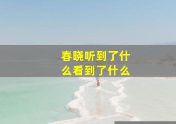 春晓听到了什么看到了什么