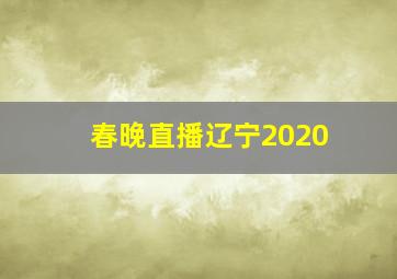 春晚直播辽宁2020