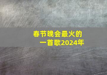 春节晚会最火的一首歌2024年