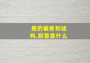 昼的偏旁和结构,部首是什么