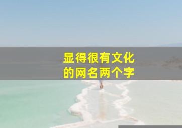 显得很有文化的网名两个字