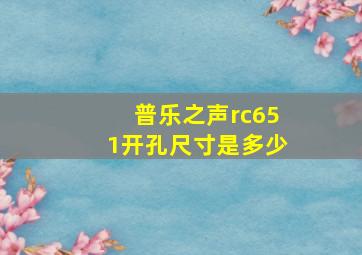 普乐之声rc651开孔尺寸是多少