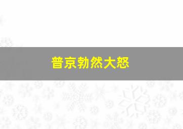 普京勃然大怒