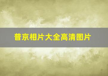 普京相片大全高清图片