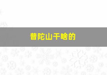 普陀山干啥的