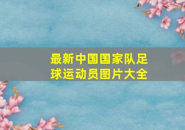 最新中国国家队足球运动员图片大全