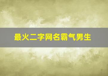 最火二字网名霸气男生