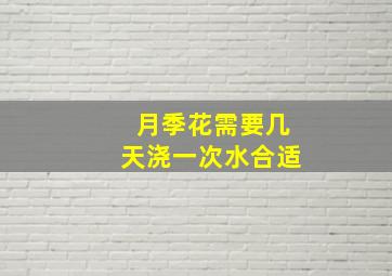 月季花需要几天浇一次水合适