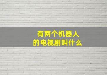 有两个机器人的电视剧叫什么