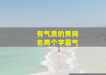 有气质的男网名两个字霸气