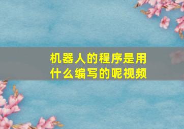 机器人的程序是用什么编写的呢视频