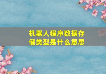 机器人程序数据存储类型是什么意思