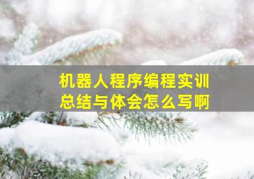 机器人程序编程实训总结与体会怎么写啊