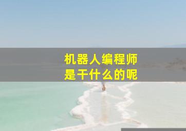 机器人编程师是干什么的呢