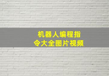 机器人编程指令大全图片视频