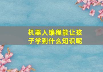 机器人编程能让孩子学到什么知识呢