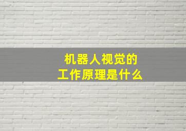 机器人视觉的工作原理是什么