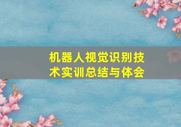 机器人视觉识别技术实训总结与体会