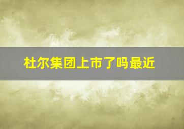 杜尔集团上市了吗最近