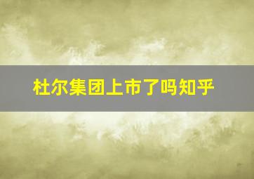 杜尔集团上市了吗知乎