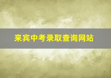 来宾中考录取查询网站