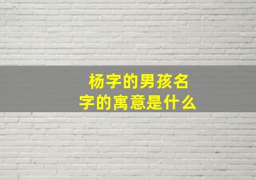 杨字的男孩名字的寓意是什么