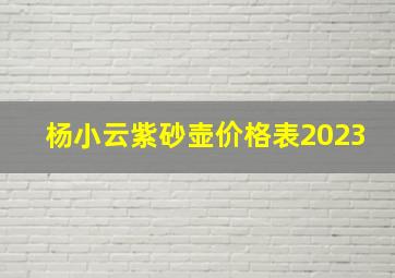 杨小云紫砂壶价格表2023