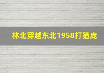 林北穿越东北1958打猎庞