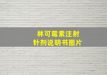 林可霉素注射针剂说明书图片