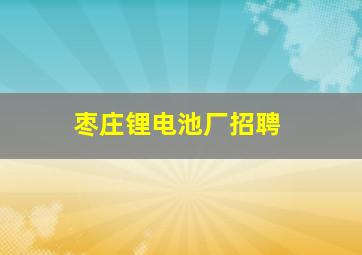 枣庄锂电池厂招聘