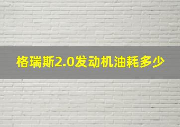 格瑞斯2.0发动机油耗多少