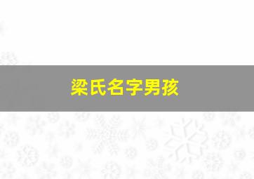 梁氏名字男孩