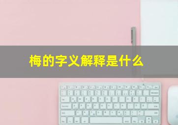 梅的字义解释是什么