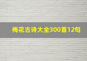 梅花古诗大全300首12句