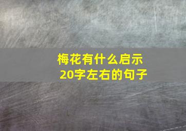 梅花有什么启示20字左右的句子